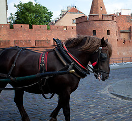 Image showing Old Town of Warsaw