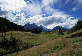 Image showing Rolling countryside in New Zealand