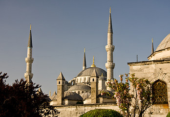 Image showing Blue Mosque 8