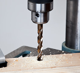 Image showing Close up of drill bit above wood