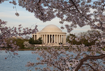 Image showing Jefferson Memorial behind cherry blossom