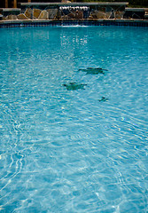 Image showing Swimming Pool waterfall