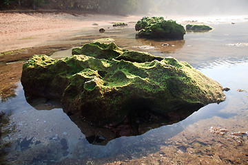 Image showing Moss covered rock reflected in pool