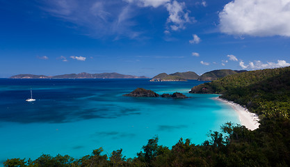 Image showing Trunk Bay on St John