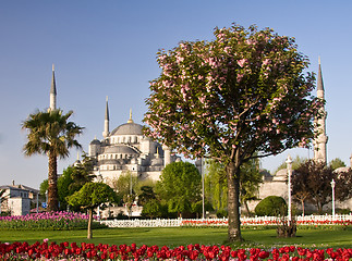 Image showing Blue Mosque 3