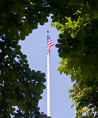 Image showing US flag framed by leaves