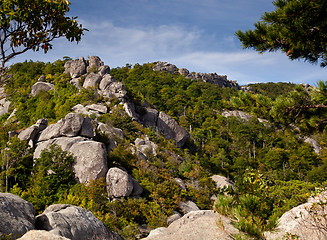 Image showing Old Rag trail in Shenandoah valley