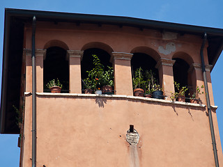 Image showing Old windows in Verona