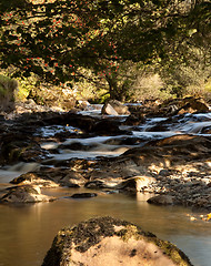 Image showing Slow motion water in small river