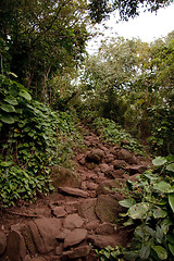 Image showing Kalalau trail in Kauai