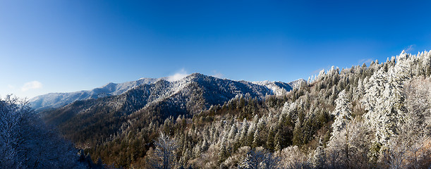 Image showing Mount leconte in snow in smokies