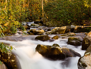 Image showing Raging stream in spring in Smokies