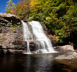 Image showing Swallow Falls Maryland