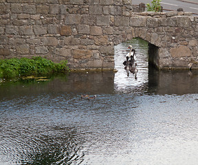 Image showing Swans and Cygnets