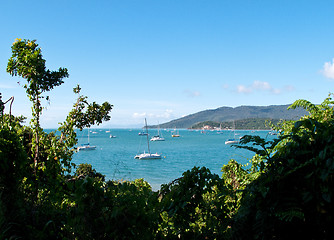 Image showing Boats at Whitsunday