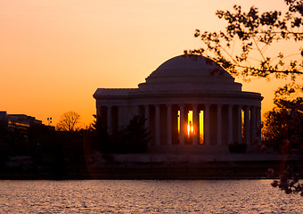 Image showing Cherry Blossom and Jefferson Memorial