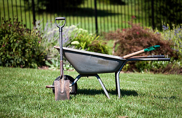 Image showing Wheelbarrow and spades