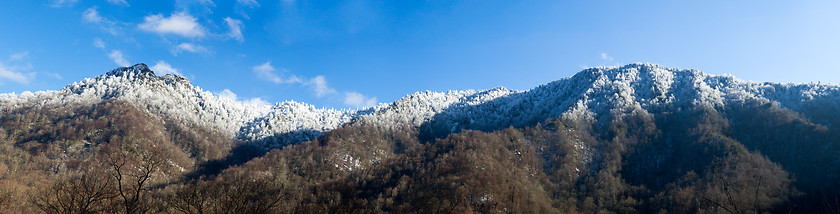 Image showing Chimney Tops in snow in smokies