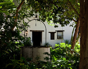 Image showing Shady garden in old Mexican house