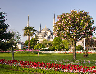 Image showing Blue mosque in Istanbul