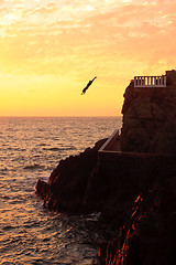 Image showing Sea Diver at Mazatlan