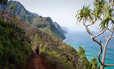 Image showing Three female hikers on Kalalau trail