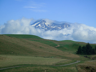 Image showing Mount Cook over a grassy plain