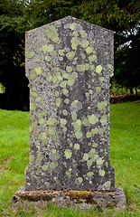 Image showing Old grave marker with lichen and moss