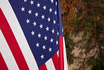 Image showing US Flag in the fall