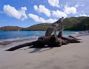 Image showing Hawksnest Bay on St John