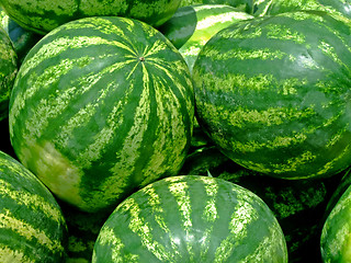 Image showing Watermelons