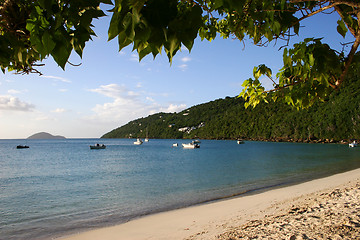 Image showing Beach and Bay on the Caribbean island of St John