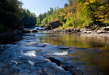 Image showing Swallow Falls Maryland