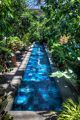 Image showing HDR image of pool in greenhouse