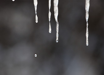 Image showing Droplet and icicles