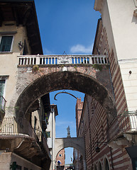 Image showing Whale bone in Verona