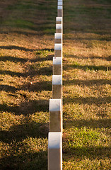 Image showing Row of grave stones in Arlington