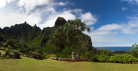 Image showing Panorama of the Na Pali Coast