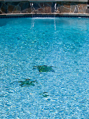 Image showing Three turtles on floor of pool