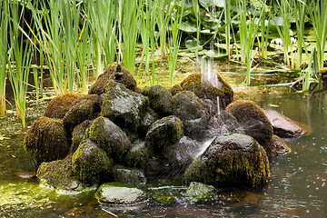 Image showing Fountain landing on mossy rocks