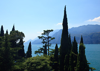 Image showing View from Malcesine