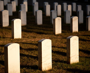 Image showing Row of grave stones in Arlington