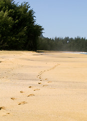 Image showing Footsteps receding into the distance 