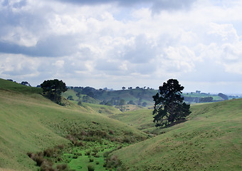 Image showing Rolling countryside in New Zealand