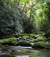 Image showing Rural River with Mossy Rocks