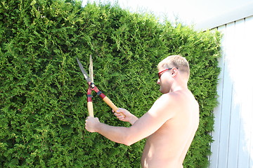 Image showing Hedge cutter