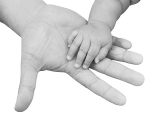 Image showing adult hand holding a baby hand closeup, black and white 