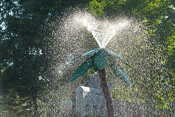 Image showing Water fountain tree