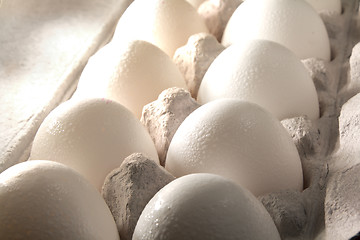 Image showing Eggs in a box