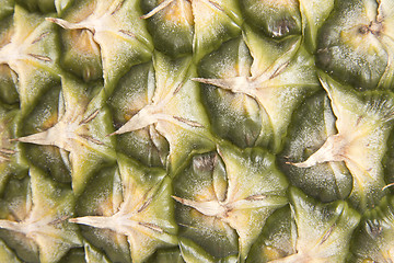 Image showing Pineapple Skin